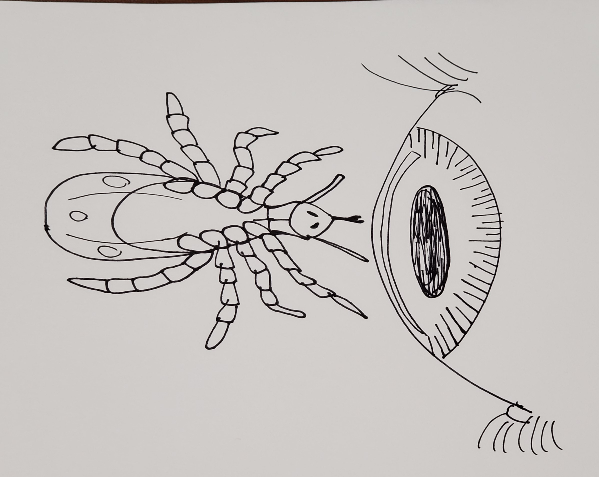Tick and Eye Illustration