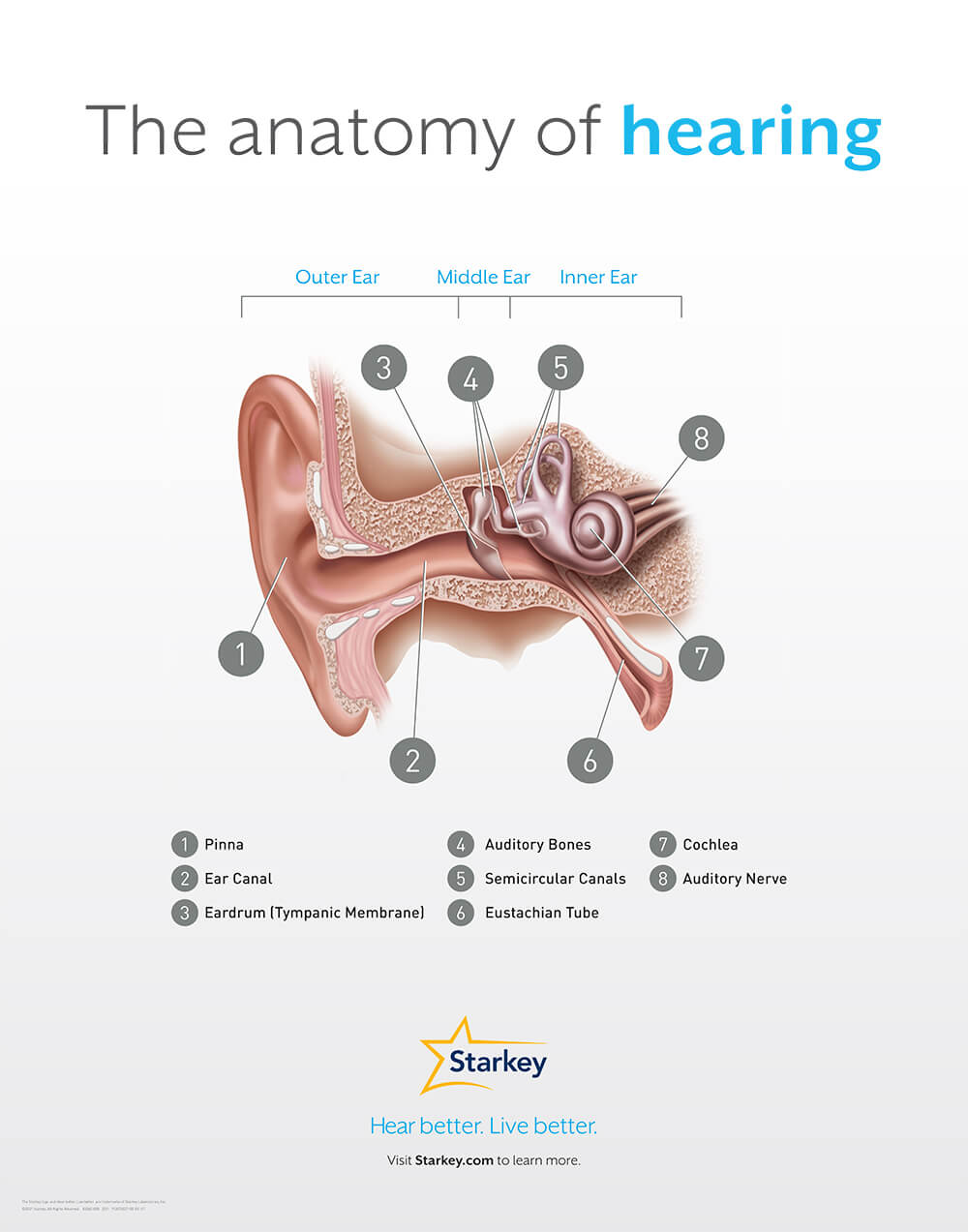 Hearing Loss Columbus | Hearing Center West Point | West Georgia Eye